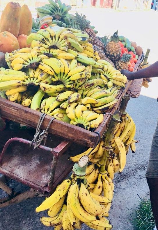 60711383_446079199475584_858955289825640448_n